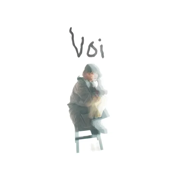 Voi