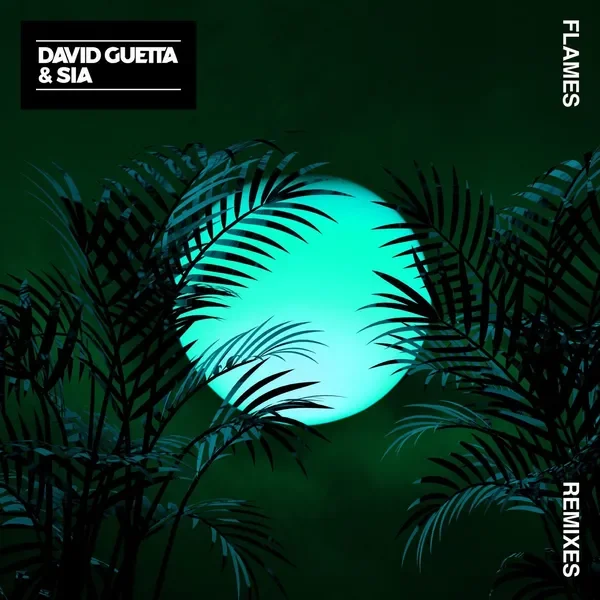 Flames - David Guetta Remix