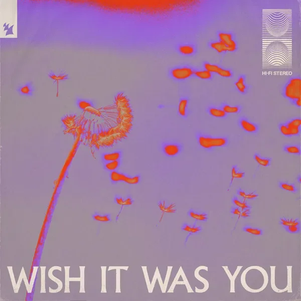 Wish It Was You