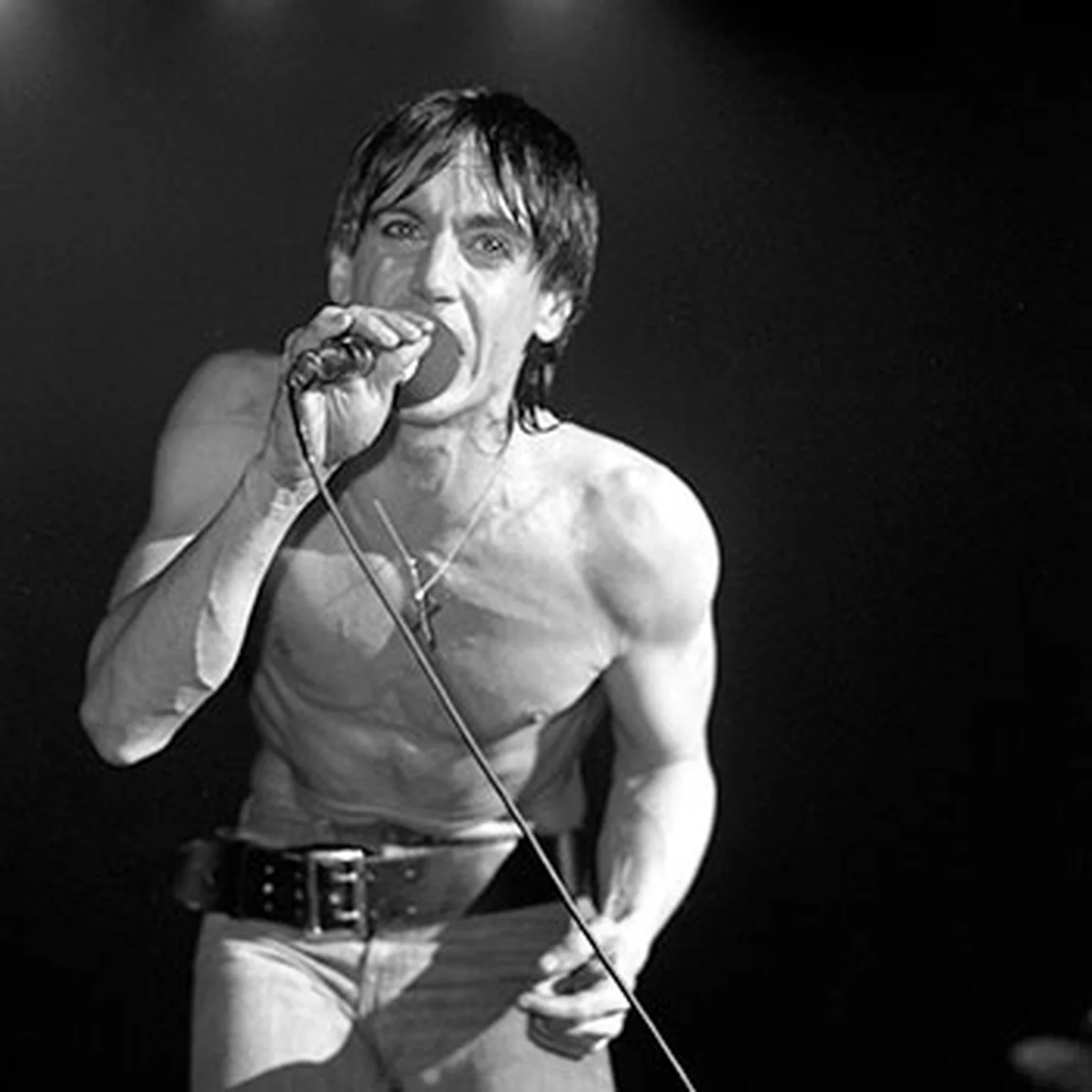 Iggy Pop