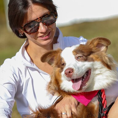 Выбрать любимца из приюта поможет новый сервис «Моспитомец» на mos.ru